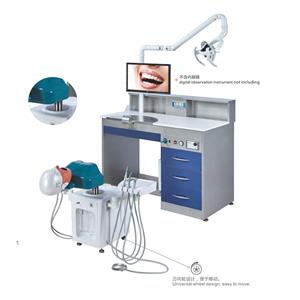 Masa Tipi Model Dental Fantom Kafa