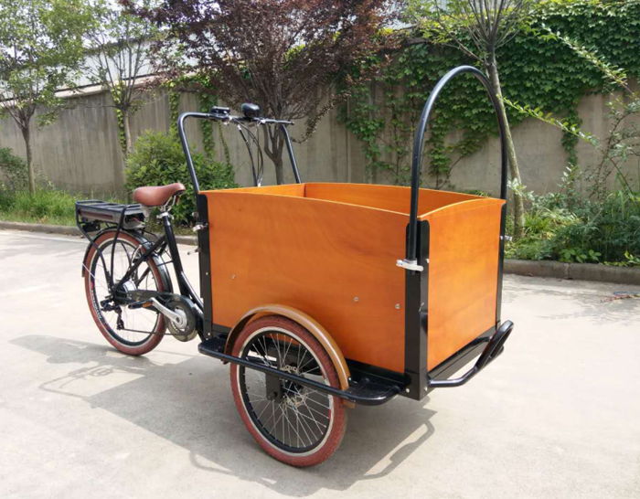 electric trike lithium battery