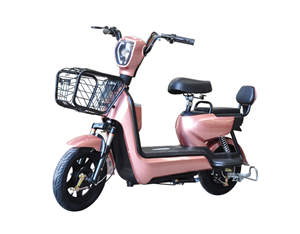 yonsland ebike price