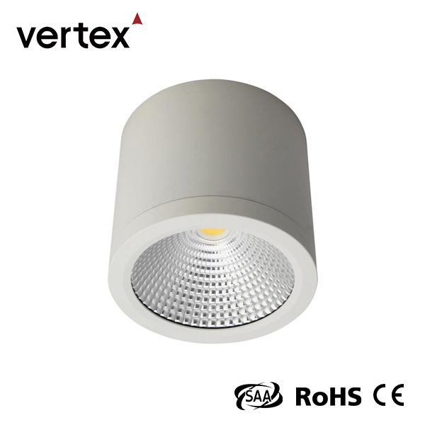 Ceiling Led Ip44 Surface Mounted Downlight