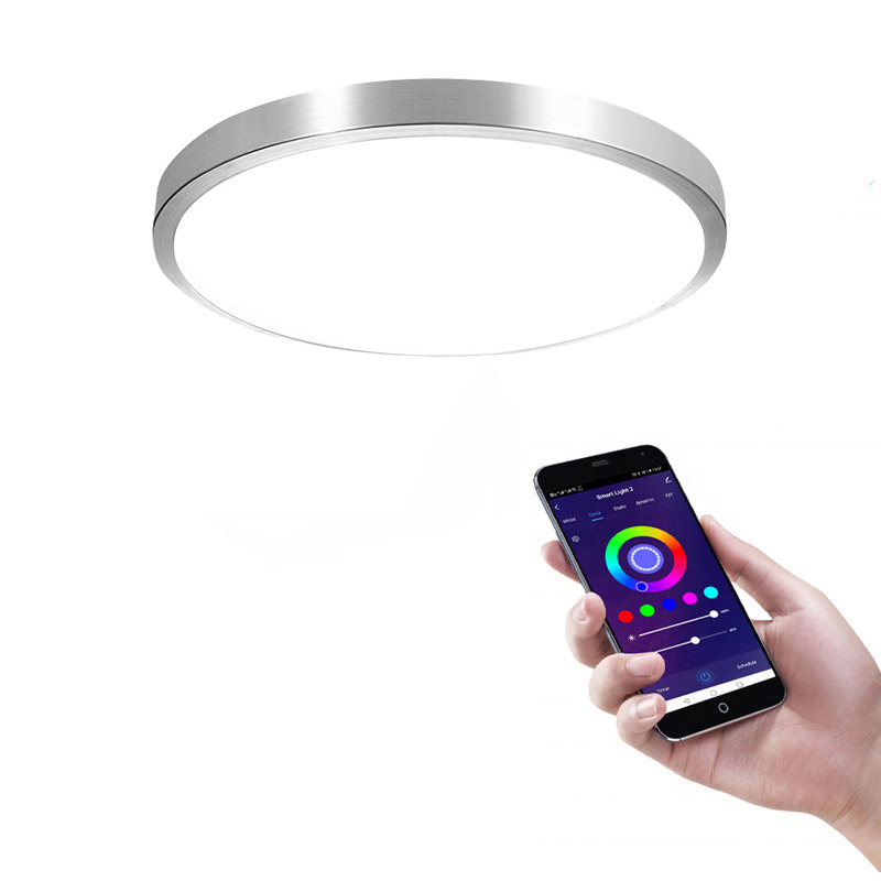 Metal Smart Ceiling light Tuya Smart Control WiFi/ZigBee/Bluetooth