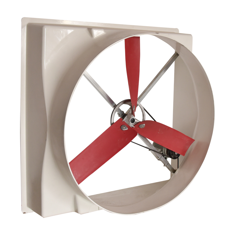 Cumpărați Volum mare de aer, eficiență ridicată, rezistent la coroziune Ventilator nou tip curea FRP,Volum mare de aer, eficiență ridicată, rezistent la coroziune Ventilator nou tip curea FRP Preț,Volum mare de aer, eficiență ridicată, rezistent la coroziune Ventilator nou tip curea FRP Marci,Volum mare de aer, eficiență ridicată, rezistent la coroziune Ventilator nou tip curea FRP Producător,Volum mare de aer, eficiență ridicată, rezistent la coroziune Ventilator nou tip curea FRP Citate,Volum mare de aer, eficiență ridicată, rezistent la coroziune Ventilator nou tip curea FRP Companie