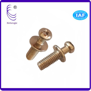 The screw factory tells you what are the causes of rusting of hardware screws?