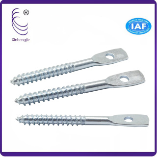 Eye Lag Screw vs Eye Bolt