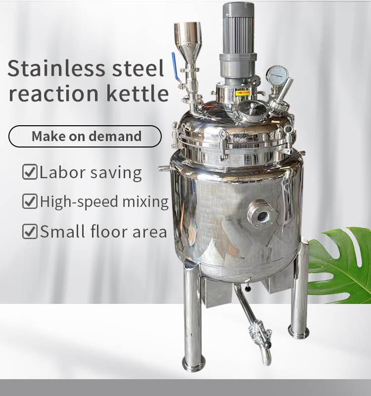 Stainless steel reactor
