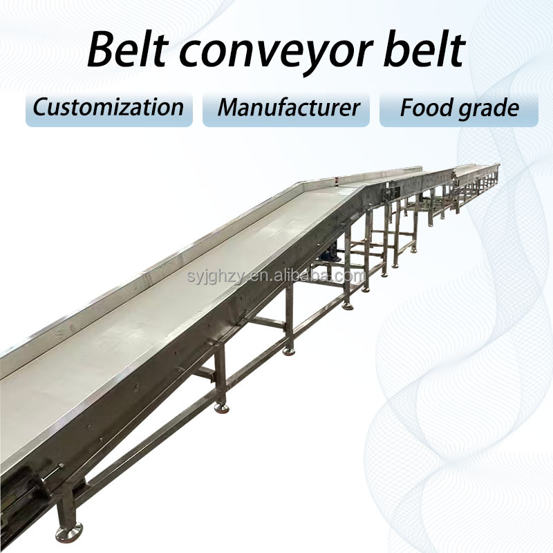 Belt conveyor