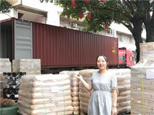 Myanmar'a 40 fitlik bir Konteyner yükleyin