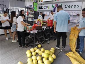 Güz Ortası Festivali Arifesi