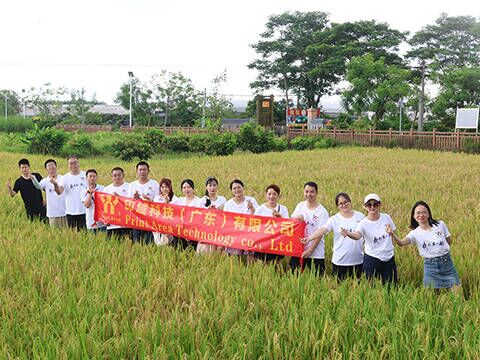 Guangzhou Conghua Şirketi Turizmi