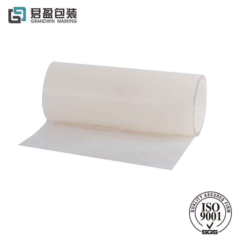 Carbody Protection Film