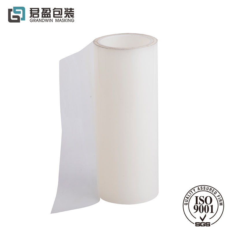 Carbody Protection Film