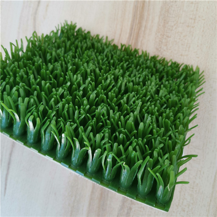 Synthetic Turf Grass