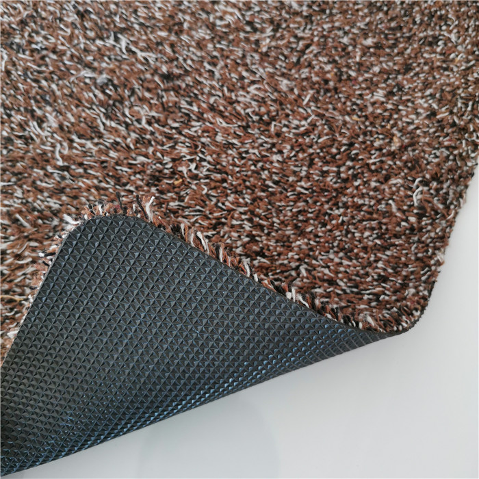 Absorbent Doormat