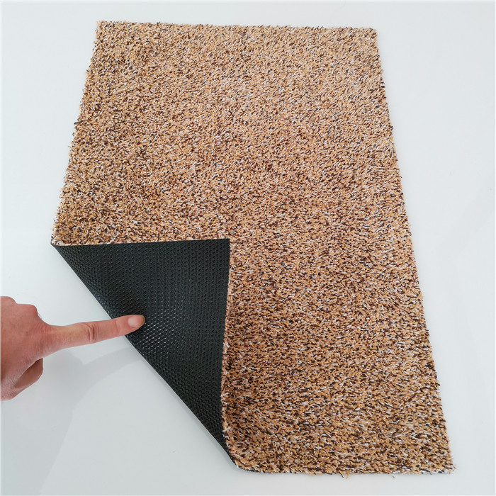 Absorbent Doormat