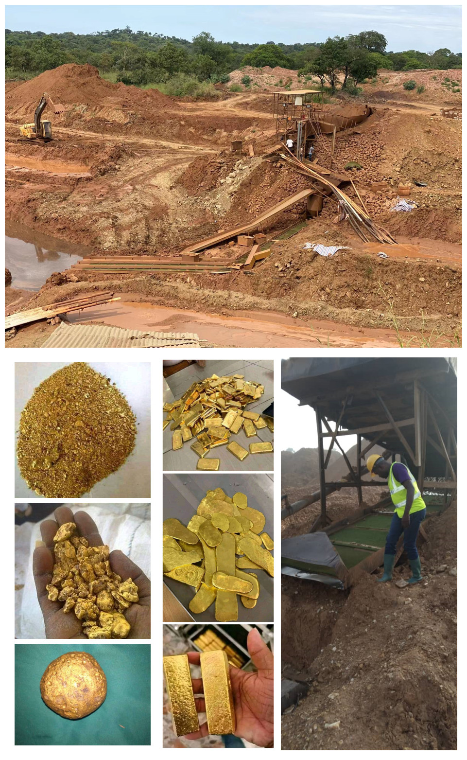 gold mining grass