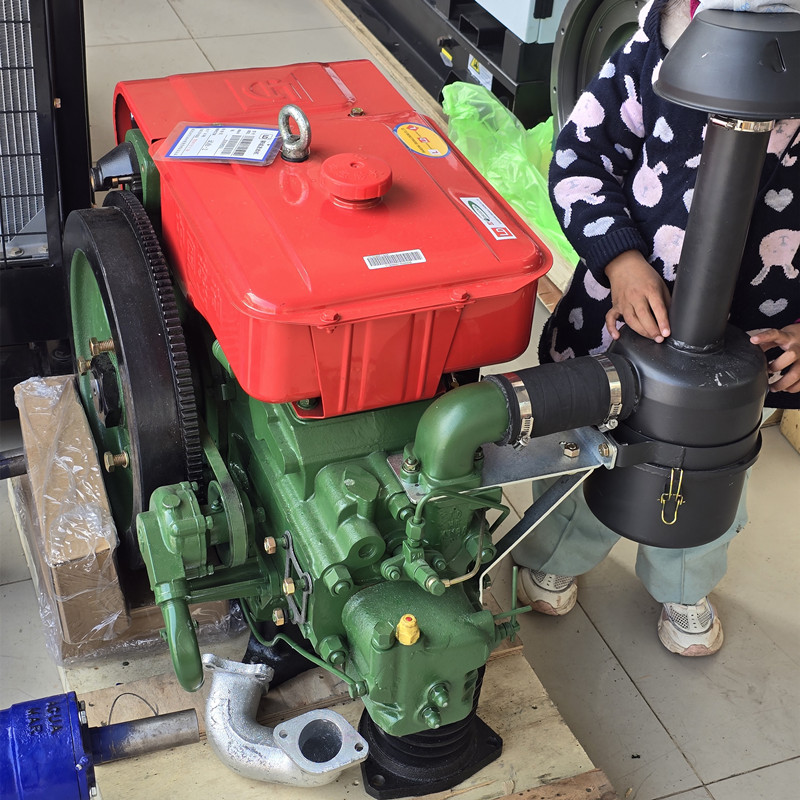 Ldnv186D Air-Cooled Single Cylinder Diesel Engine generator for Gold Mining Mud Water Pump