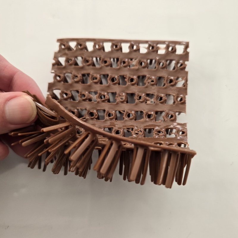 chicken grass for laying eggs