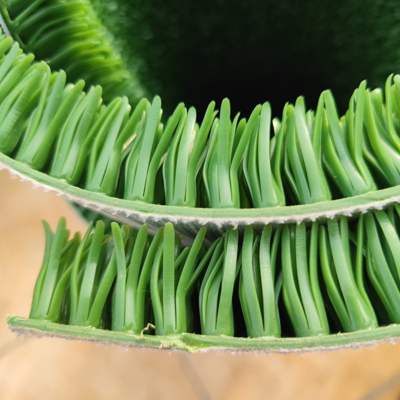 gold filtering carpet
