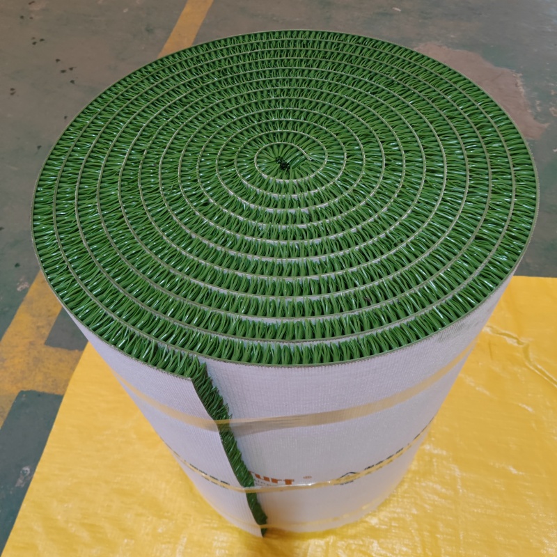 gold carpet dream turf