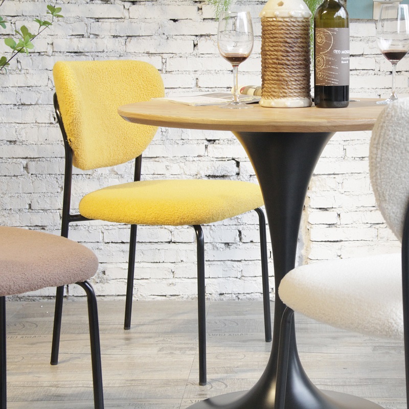 Nordic Designer Light Luxury Restaurant Cafe Fabric Teddy Velvet Chair