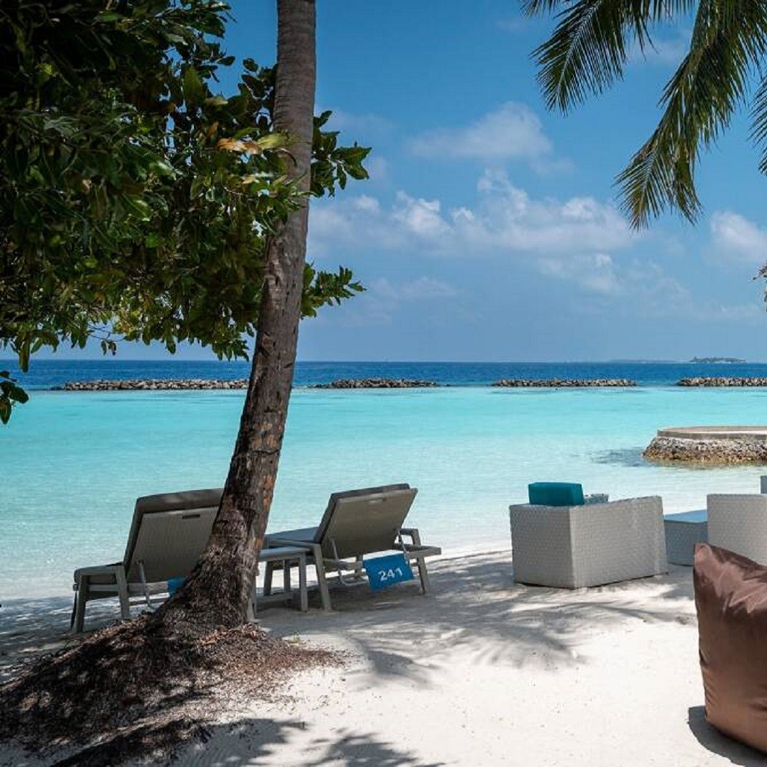Leisure Lounge Chair
