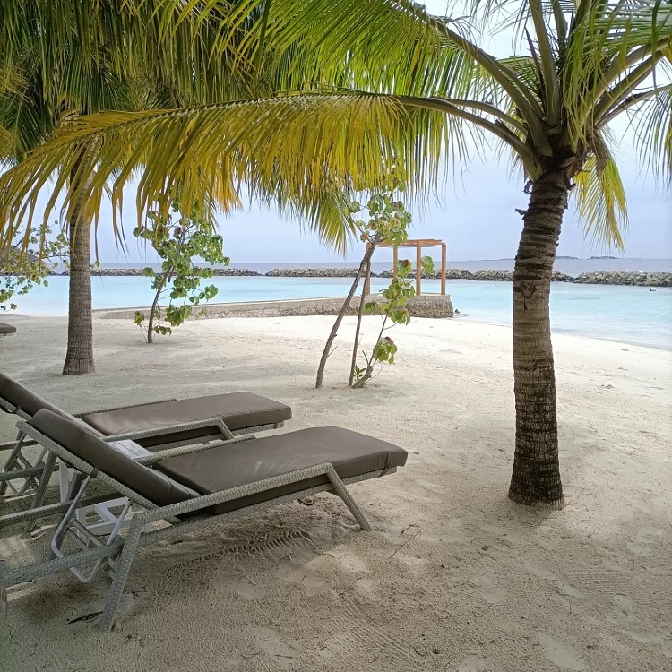 Outdoor Lounge Chair