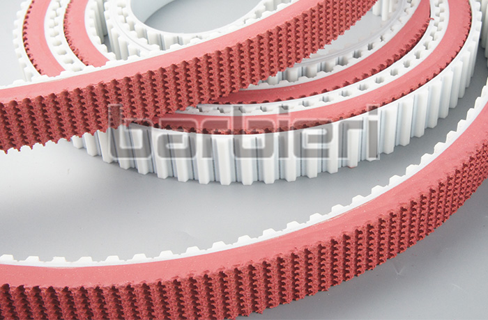 Double adhesive timing belt