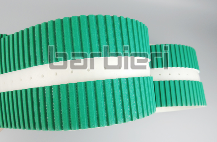 FORVET FRANCESCA Glass Macchine Timing Belt