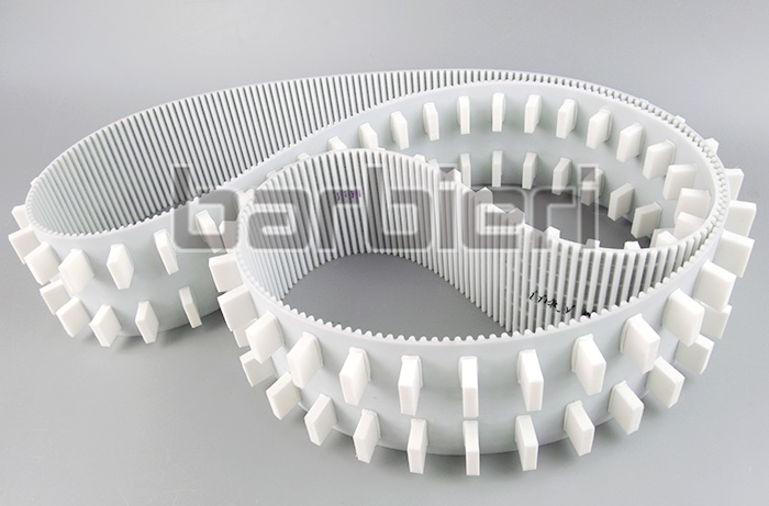 Timing belt with dual rows of cleats Timing belt with dual rows of cleats