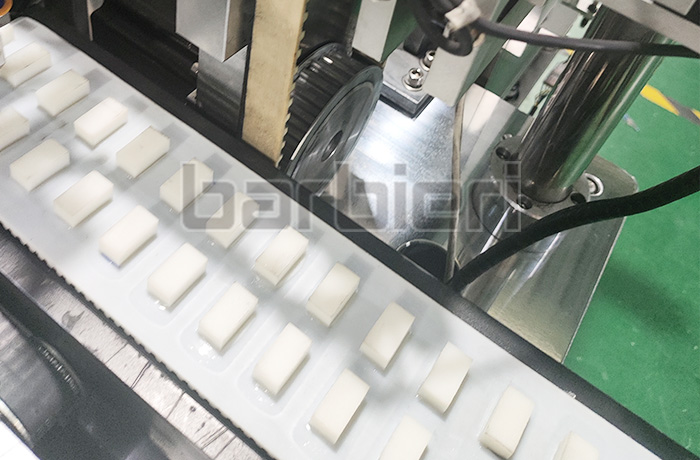 Dual rows stopper timing belt Dual rows stopper timing belt