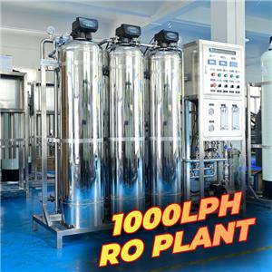 1000LPH Edelstahl Kommerzielle RO-Wasseranlage