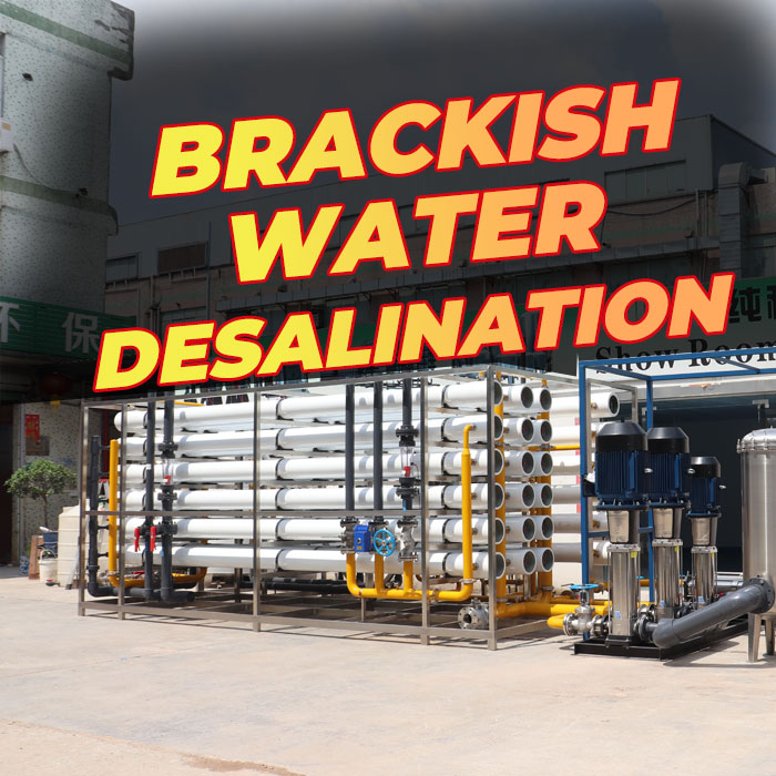 65000LPH SISTEMA DE DESALINIZACIÓN DE AGUA SALADA INDUSTRIAL