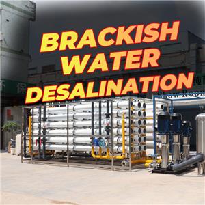 65000LPH INDUSTRIELLES Brackwasser-ENTSALZUNGSSYSTEM