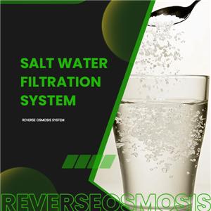 Salt Water Filtration System: Pinakamahusay na Propesyonal na Supplier mula sa China