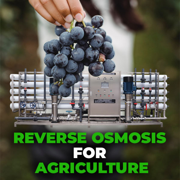 Agriculture par osmose inverse : la meilleure usine de dessalement d'un expert