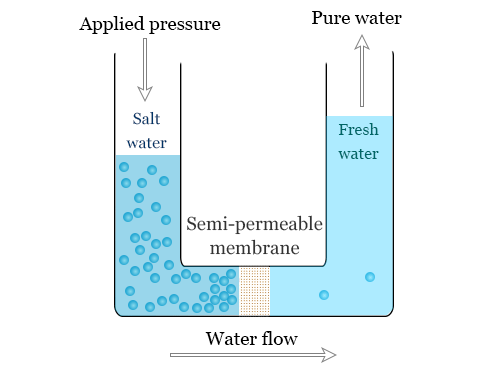 reverse osmosis purifier