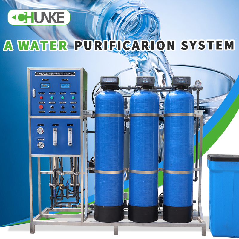 Is the water purification system in the food industry suitable for beverage production?