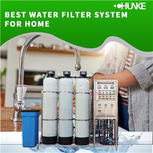 What is the user's evaluation of the best water filter system for home?