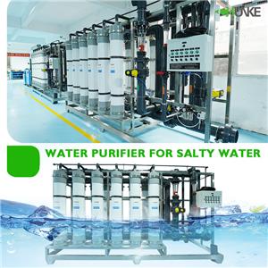 Ano ang kahusayan sa paggawa ng tubig-tabang ng water purifier para sa maalat na tubig?