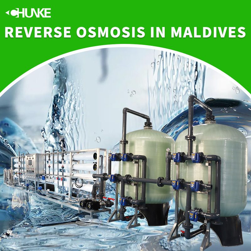 Why is the popularity of reverse osmosis water purification systems in Maldives high?