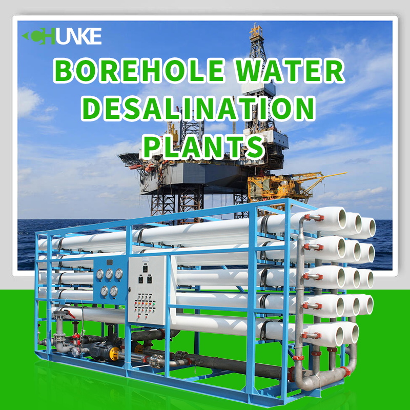 How does a borehole seawater desalination plant use reverse osmosis technology to achieve seawater desalination?