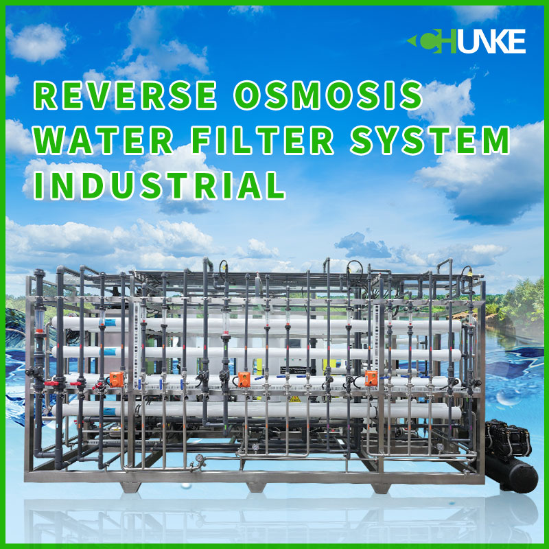 ¿Cuánto dura la vida útil de un filtro de ósmosis inversa industrial?