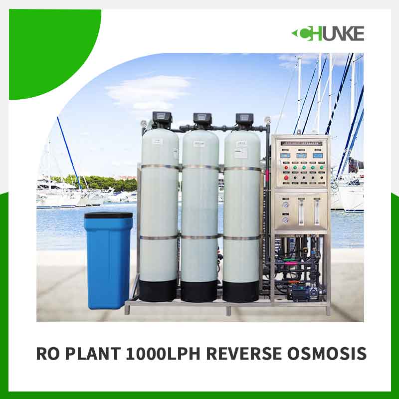 What is the processing capacity of 1000 LPH reverse osmosis plant?