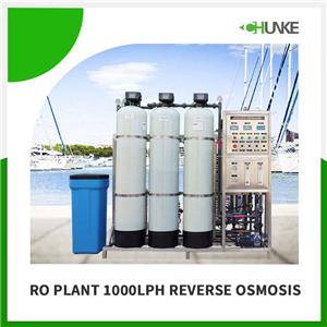 Wie groß ist die Verarbeitungskapazität einer Umkehrosmoseanlage mit 1000 LPH?