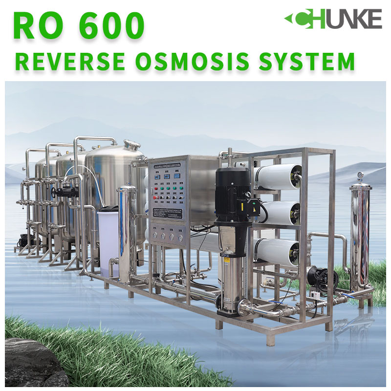 How often should you flush your reverse osmosis system?