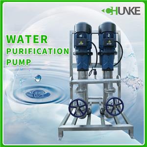 Ano ang function ng water purification pump sa water purification system?