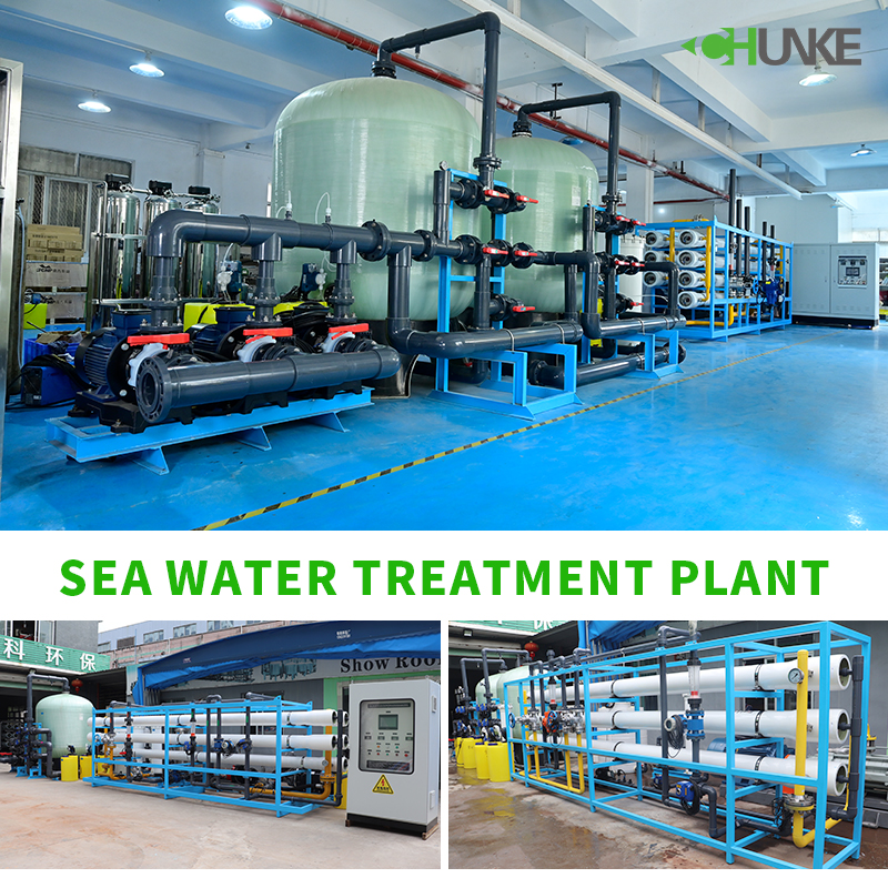 カールスバッド・ポセイドン淡水化プラントにはどのような問題があるのでしょうか?