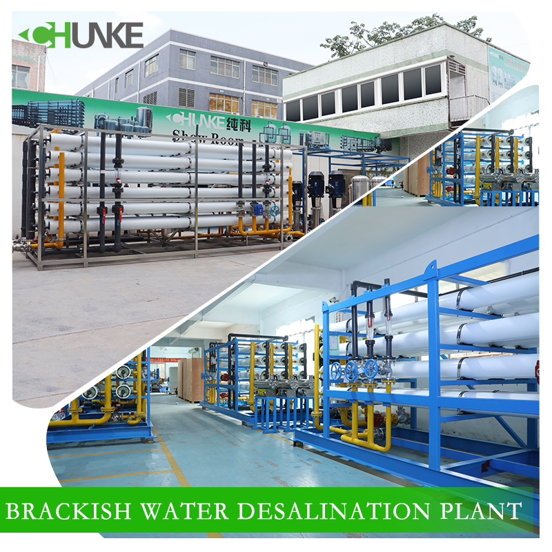 What is the process of brackish water desalination plant?