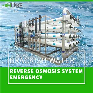 Maaari bang linisin ng reverse osmosis system ang maalat na tubig?