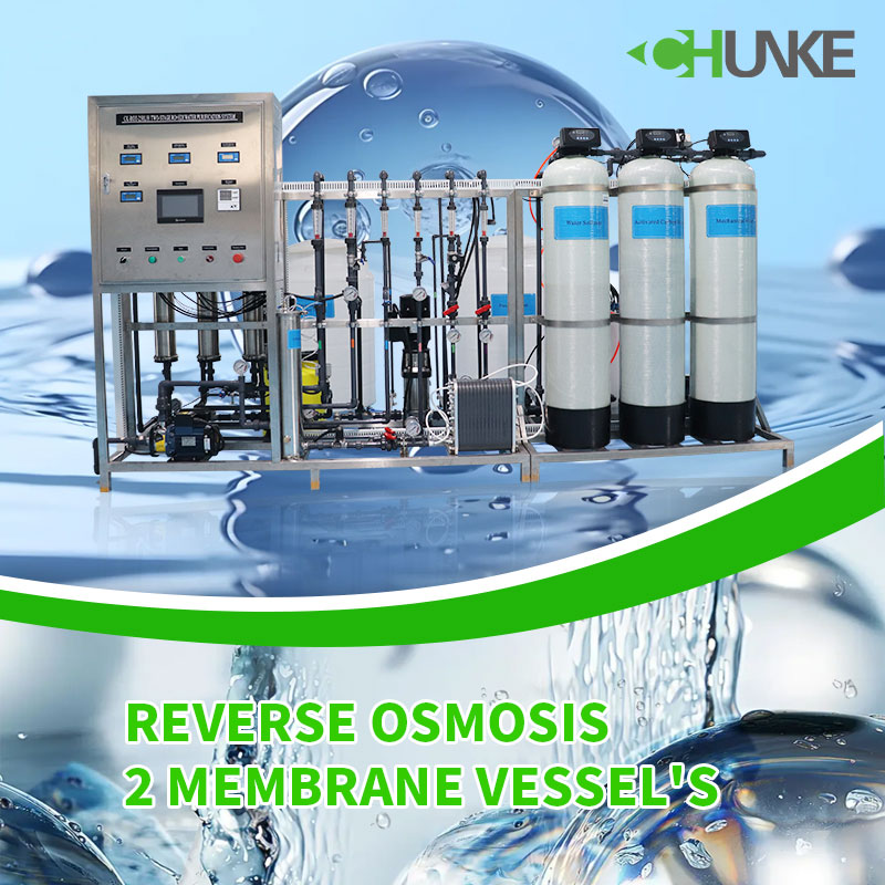 How often should I replace my RO membrane? How much does it cost?